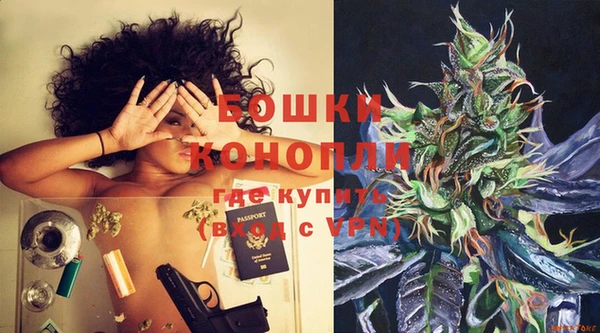 mix Богородицк